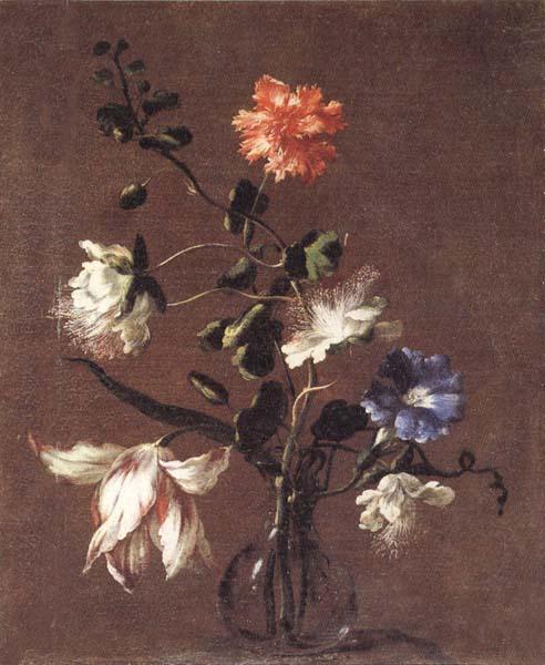 Mario Dei Fiori Theee Caper Flower,a Carnation,a Bindweed,and a Tulip